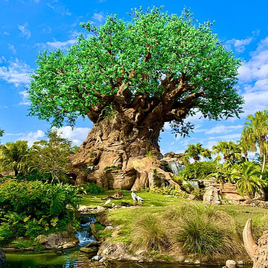 Tree of Life